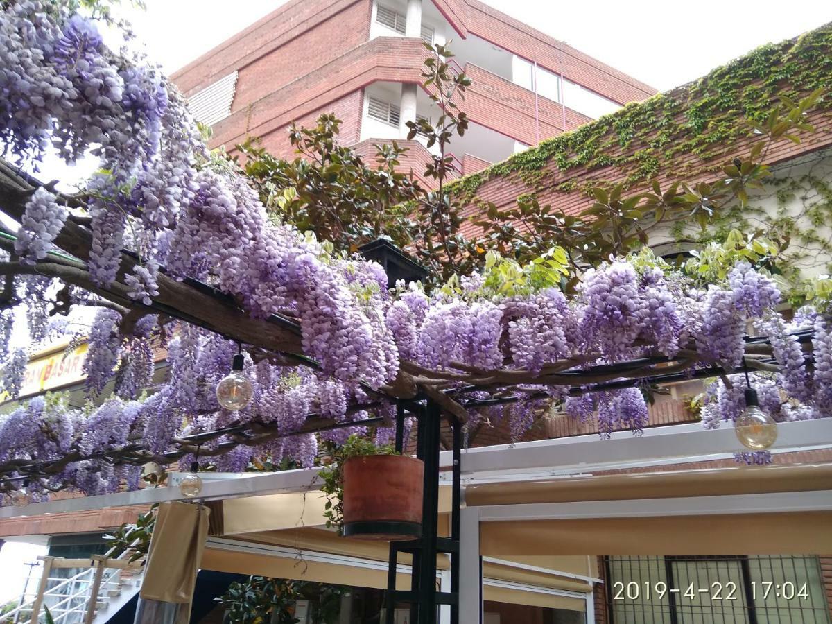 Apartamento Con Terraza Vistas Al Mar Lloret de Mar Eksteriør bilde
